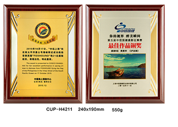 KNC Gỗ Đồng LN02