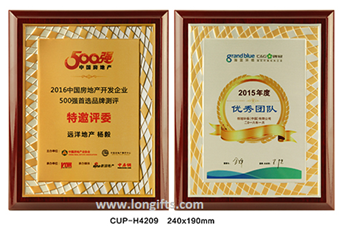KNC Gỗ Đồng LN05